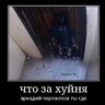 drainii